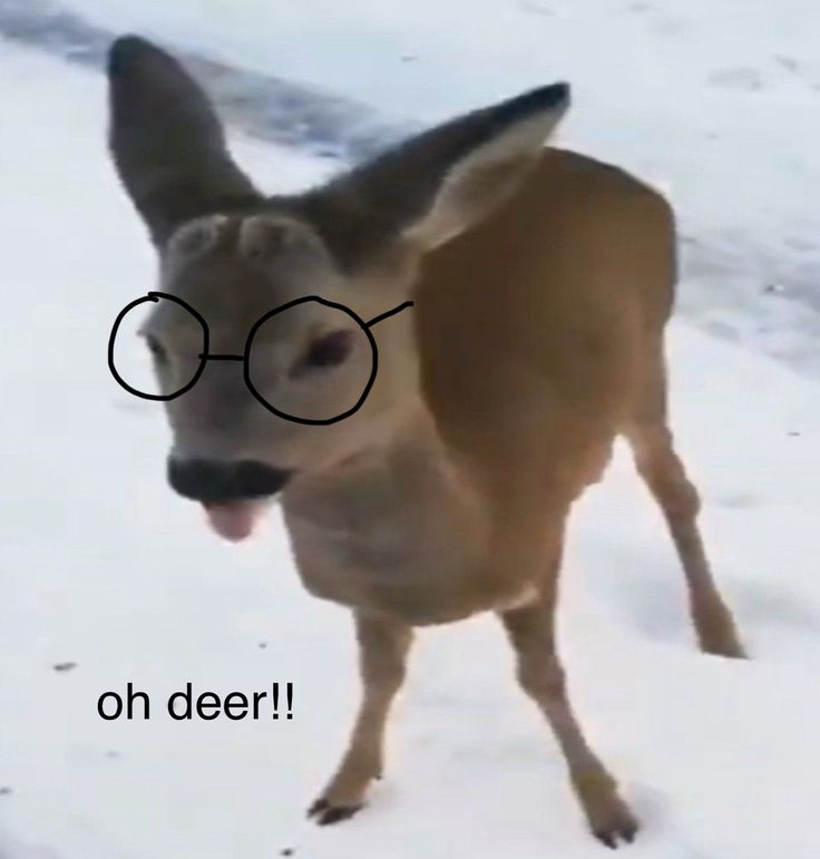 ohdeer.png